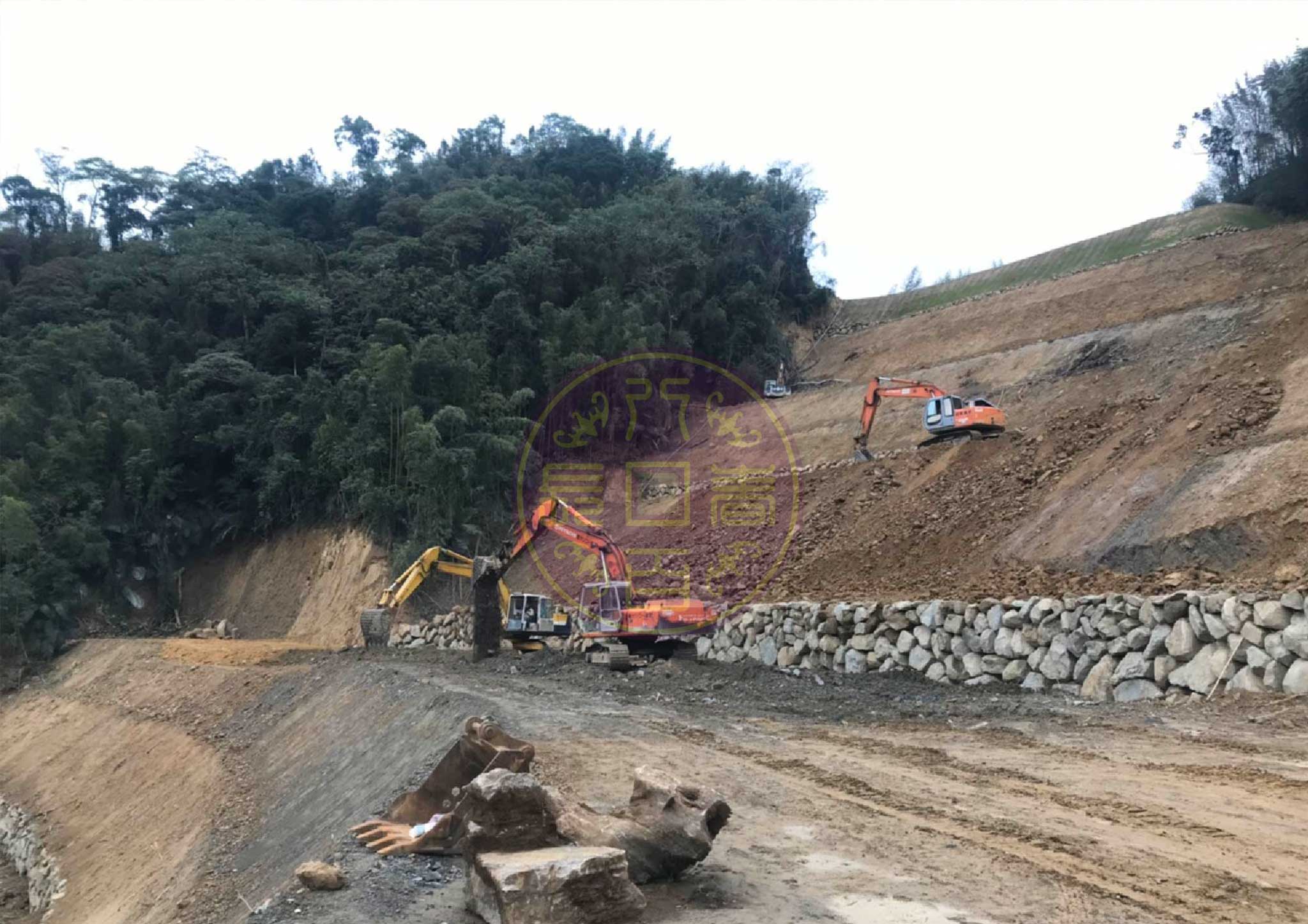 地上物清除作業(雜木林)