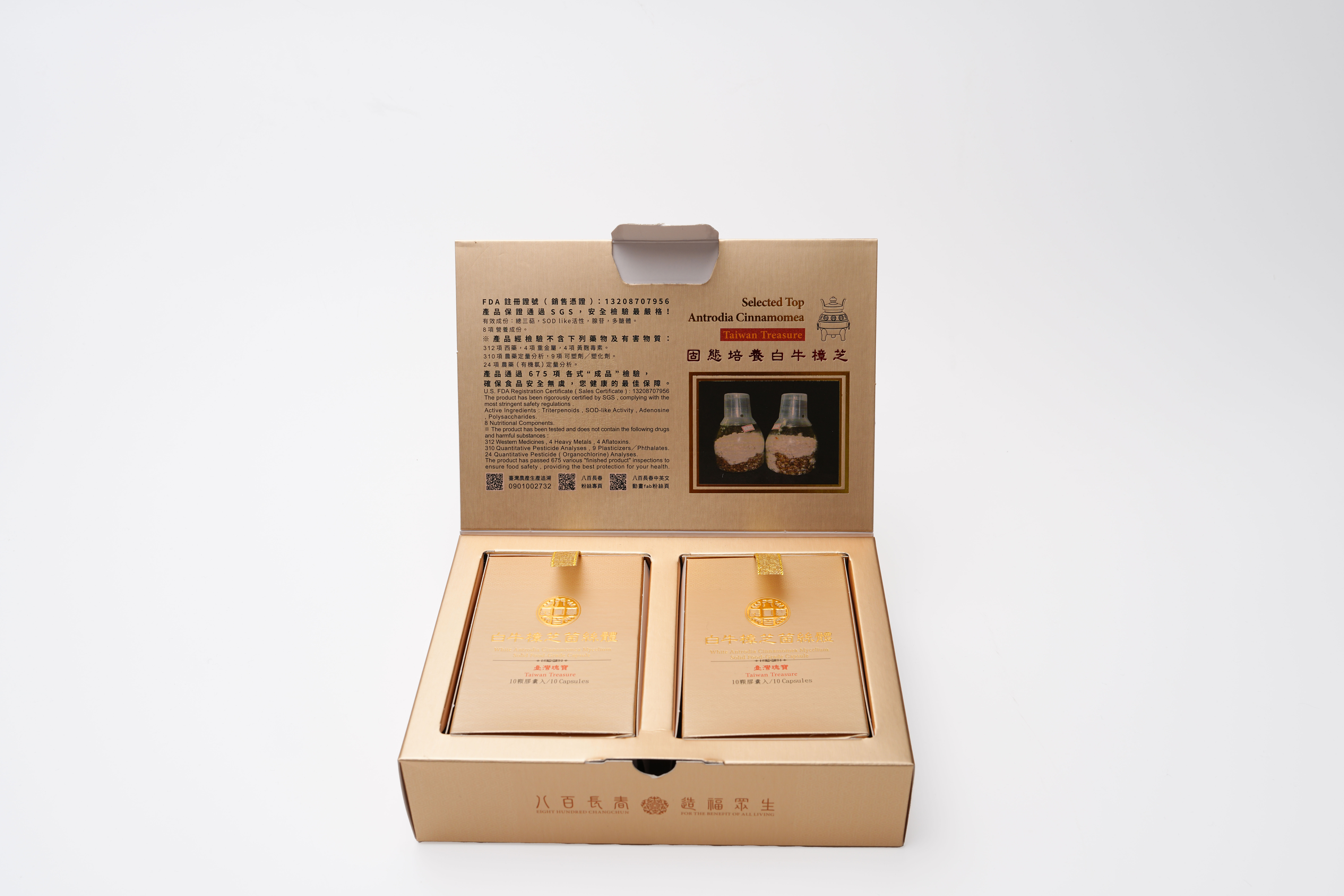 白牛樟芝菌絲體