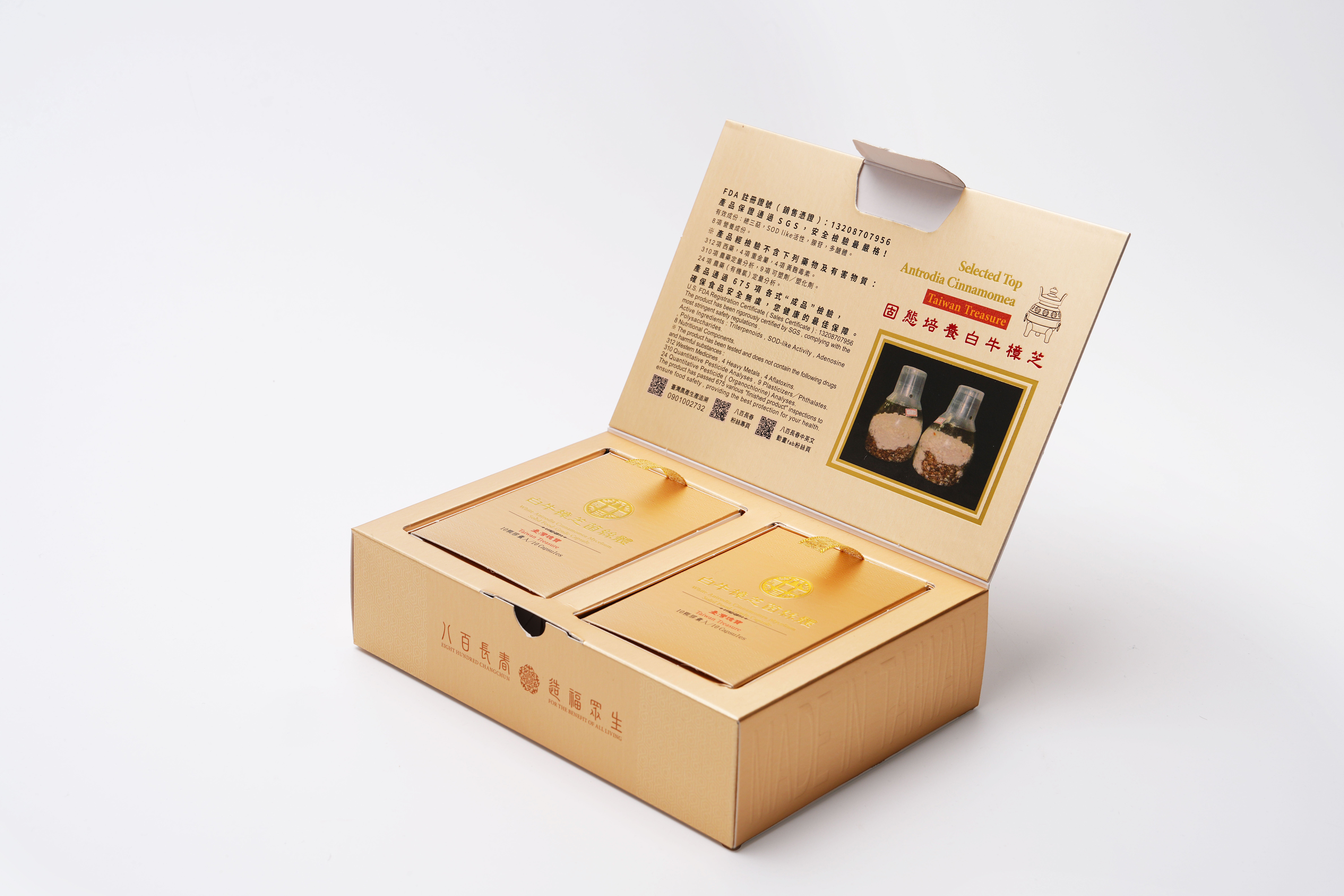 白牛樟芝菌絲體