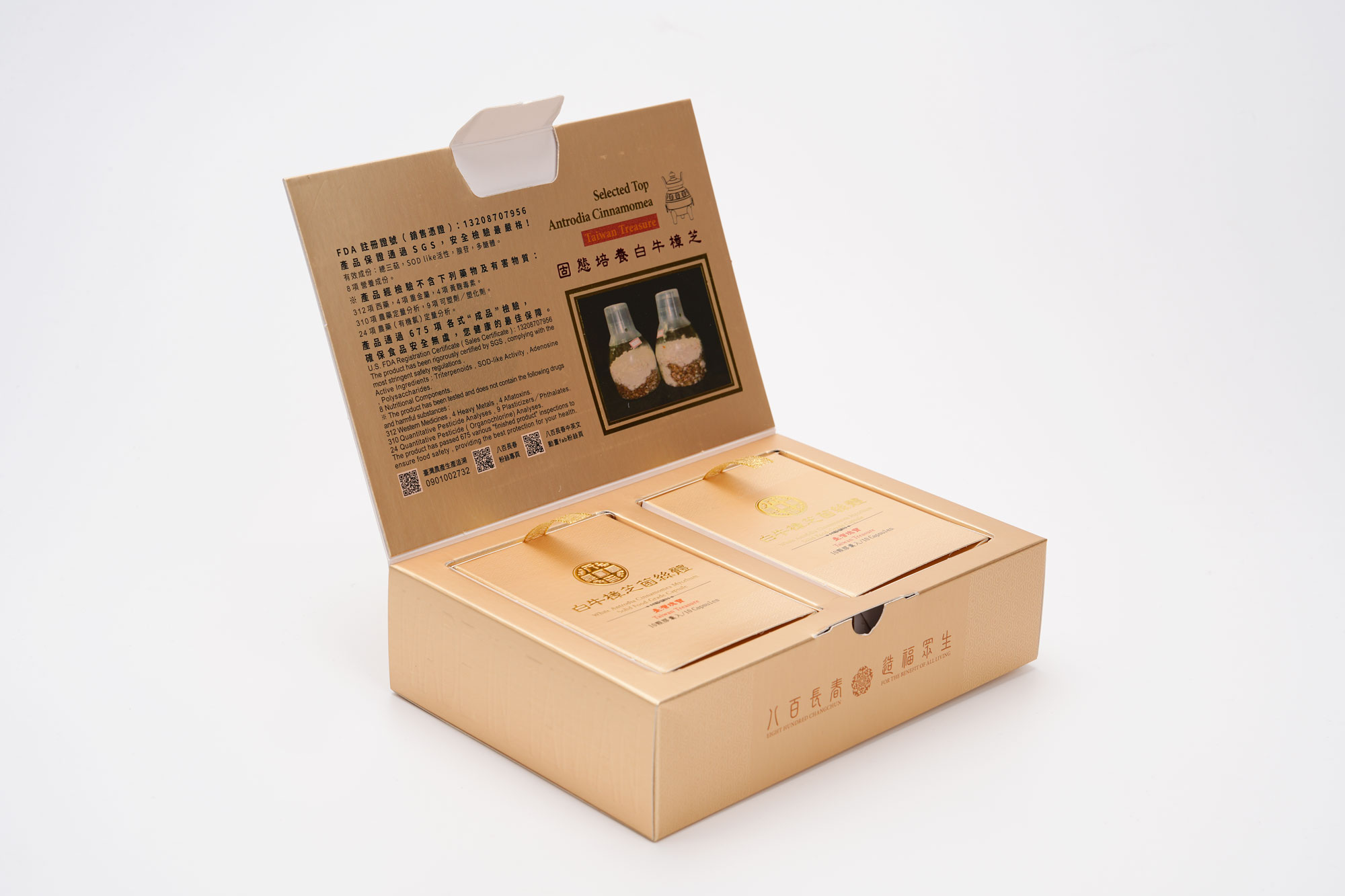 白牛樟芝菌絲體