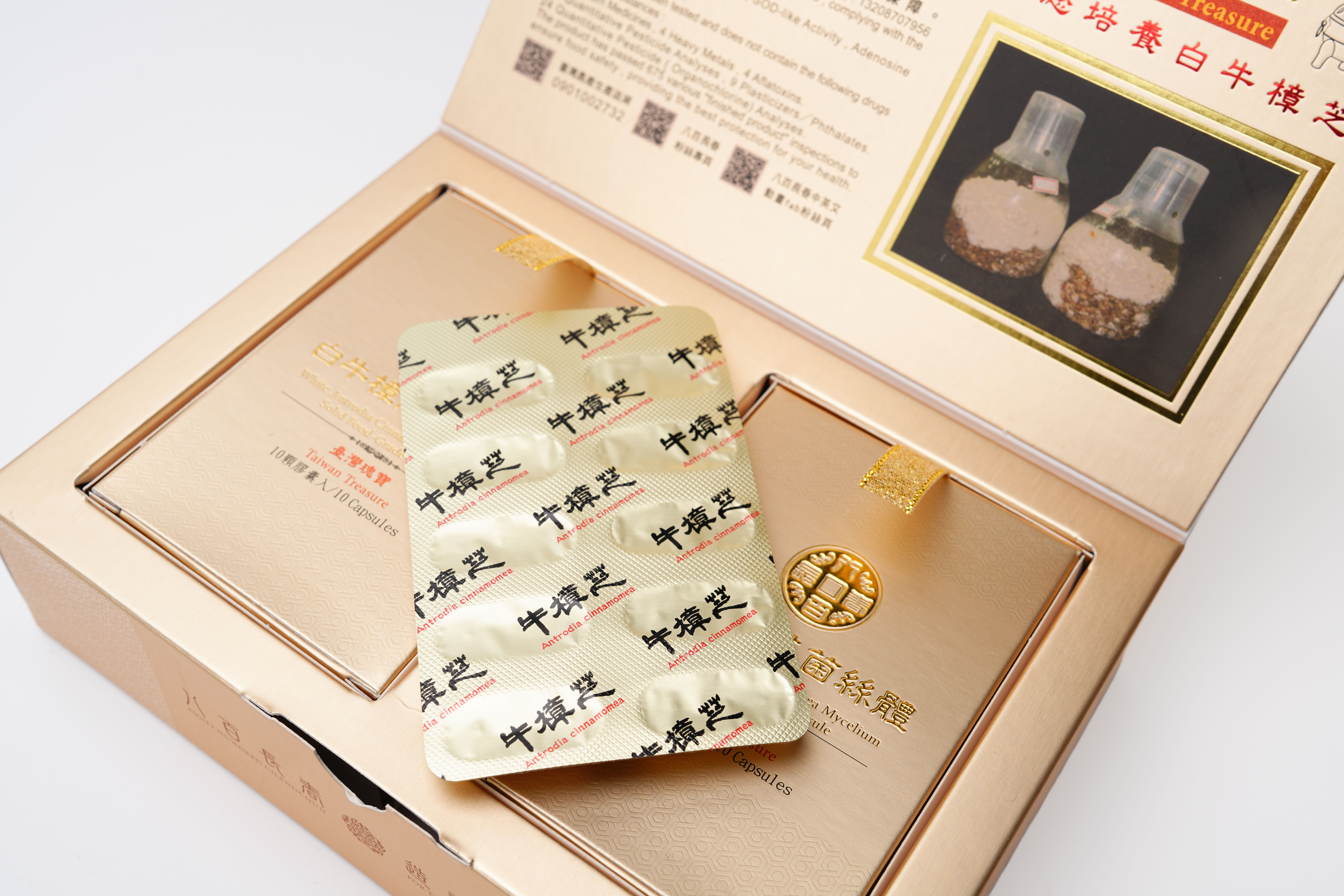 白牛樟芝菌絲體