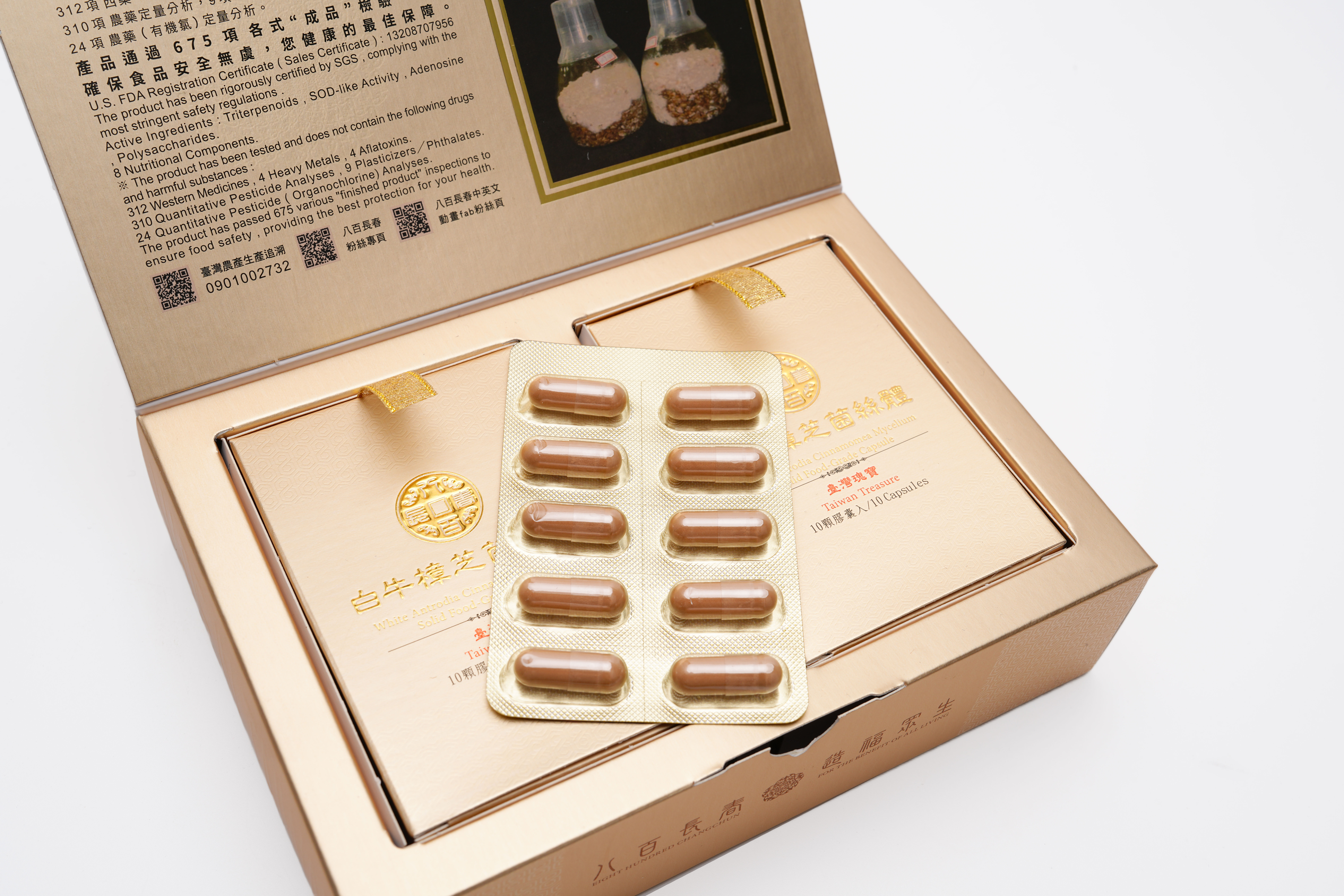 白牛樟芝菌絲體